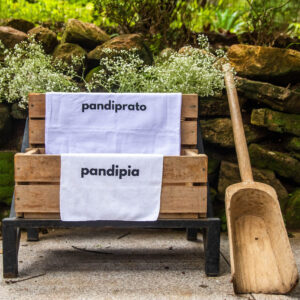 pandipia